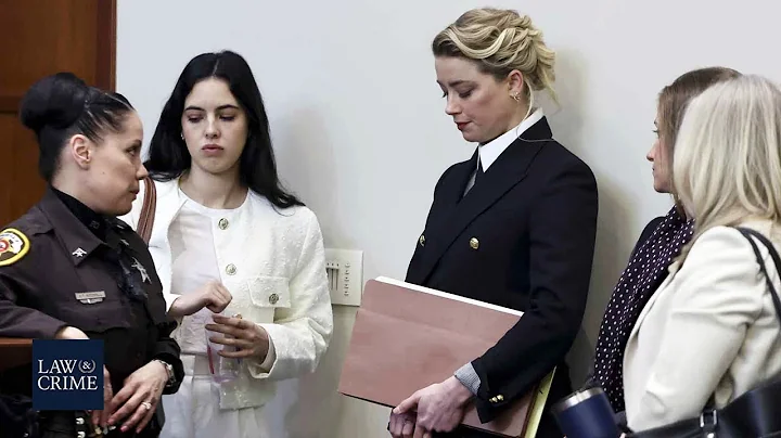 Amber Heard Supporter Mispresented Information to ...