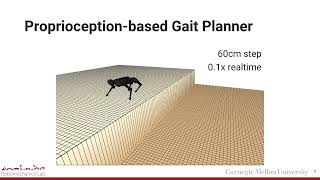 Proprioception and Tail Control Enable Extreme Terrain Traversal by Quadruped Robots