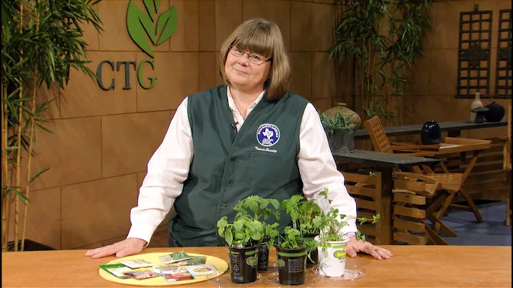 Companion Plants |Sheryl Williams |Central Texas G...