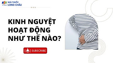Kinh nguyệt hoạt động như thế nào? | Nhà Thuốc FPT Long Châu