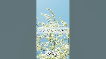 ولقد نعلم أنك يضيق صدرك بما يقولون-من سورة الحجر  -القارئ هزاع البلوشي