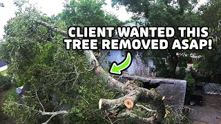 STORM DAMAGE leaves two trees on our customers roof! #cajuntreecutters #treeremoval