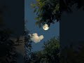 Ш Щ Щ ЩЉЩ Щ ШіЩ Ш Щ бѓ Ш Щ Щ ЩЉЩ Щ ШіЩ Ш Щ бѓ