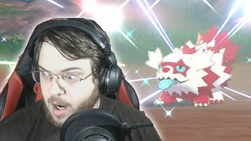 Shiny Galarian Zigzagoon in ONLY 16 RANDOM ENCOUNTERS!