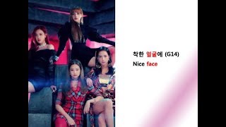 BLACKPINK- 뚜두뚜두 ( DDU-DU DDU-DU ) Lyrics Video for Korean Learners
