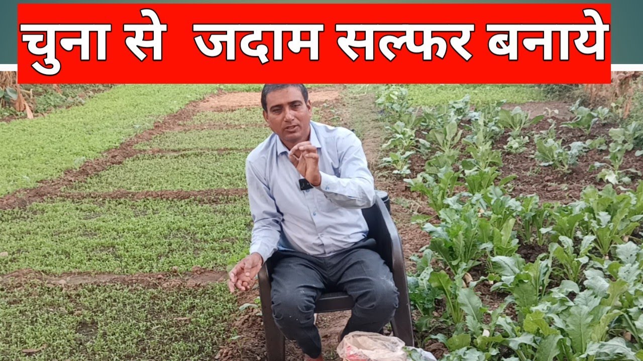 चुना से jadam sulphur कैसे बनाये