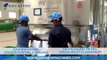 Cashew Kernel Grading & Colour Sorting Machine | Gayathri Industries