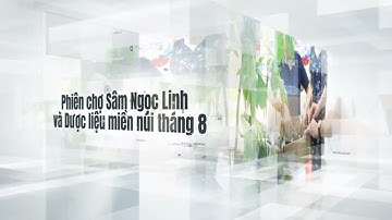 🎉 VIDEO LỄ HỘI SÂM NGỌC LINH LẦN THỨ VII TỪ NGÀY 1 - 3/8/2025
