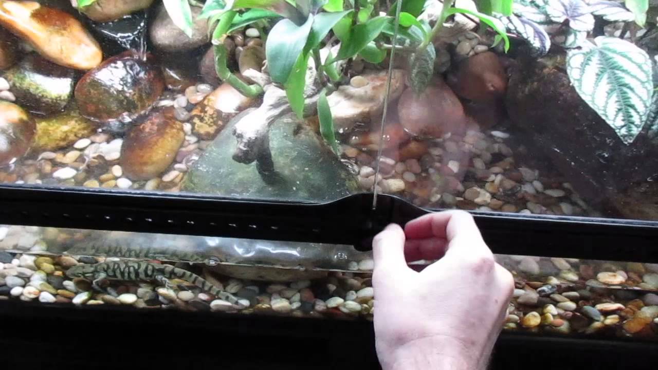 40 Gallon Exo Terra Tank for my Tiger Salamander YouTube