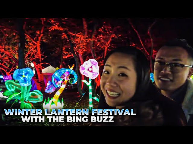 Winter Lantern Festival - Queens, New York - Tickets