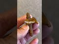 Just A Feeling That This Might Be A Good Find? #metaldetecting #viral #trending #shorts