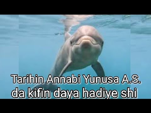 Tarihin Annabi yunus AS.