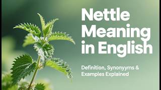 Nettle Meaning in English | Definition, Synonyms & Examples Explained