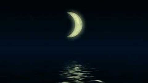 Moonlight Production - Portfolio art, film, and animation