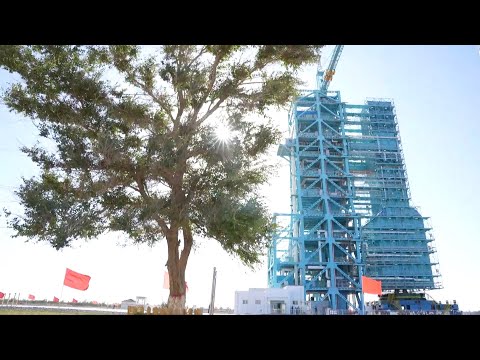 An elm tree witnesses china's space missions