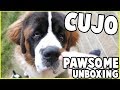 SquiddyVlogs - PAWSOME UNBOXING WITH CUJO!! [49]