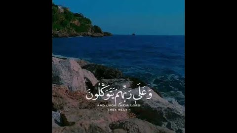 ما تيسر من سورة الأنفال || صوت رائع