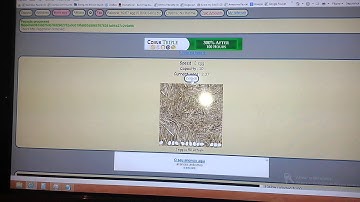 2500 SATOSHIS BTC/ EVERY 10 MINUTES!NEW FAUCET..THE BEST  NAD BETTER FAUCET