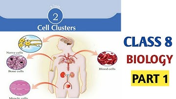 Class 8 Biology Chapter 2 Cell Clusters Kerala Syllabus Part 1