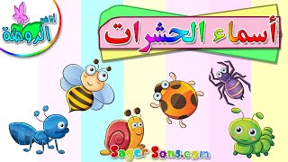 اناشيد الروضة - تعليم الاطفال - أسماء الحشرات - بدون موسيقى - بدون ايقاع