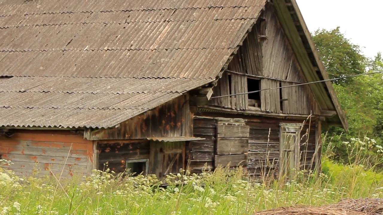 Pamestā Latgale. māja bez saimniekiem un caunu midzenis krāsnī