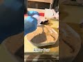 First Coat of Epoxy… Grain Comes Alive
