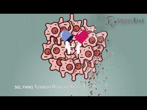 Video: Bagaimana sel germline membelah?