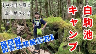 ４k映像もののけの森 北八ヶ岳 白駒池キャンプ Youtube