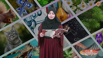 Gohar Science 5|Unit 9|Lec 2|Space|Space Exploration