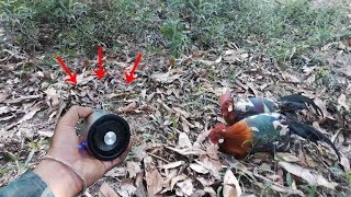 Teknologi Suara Pikat Ayam Hutan Terbaru~Dijamin Pasti Dapat Ayamnya Kalau Pakek Ini