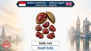 Bahasa Indonesia — Inggris Indonesian – English  Lesson 22 – Speed： Nuts and Seeds — kacang kacangan