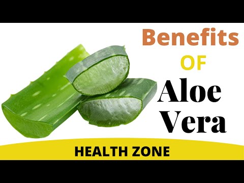 Aloe Vera Benefits | 13 Benefits That You Should Know And Apply To Your Life