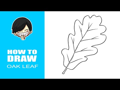 Video: Hoe Eikenbladeren Te Tekenen