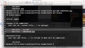 The git status Command