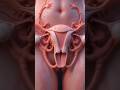 Reverse period~wood working art skill wood / hand crafts #shorts #comedyeffect