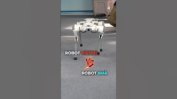 Robot Viettel tại triển lãm Quốc Phòng khác gì so với robot nhà