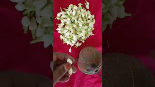 மலலக ப மல கடடவத எபபட Akka Samayal