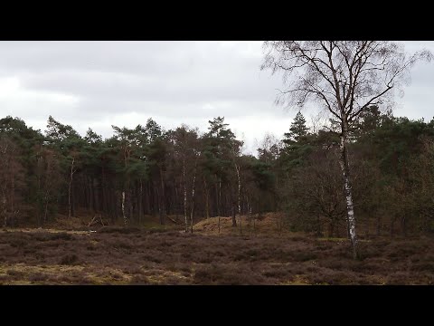 Top rated Tourist Attractions in Rhenen, Netherlands | 2020