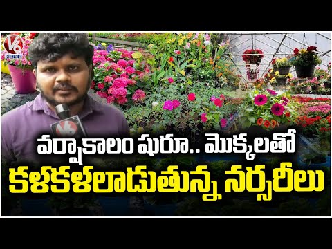 Nurseries Filled With Variety Of Plants As Rainy Season Begins | V6 News - V6NEWSTELUGU