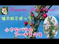 【バラのアーチ】植木鉢でも簡単　小さなバラのアーチの作り方　#ばら　#ローズ