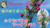 ガーデニングvlog ダイソーの支柱で薔薇のアーチを作る Youtube ガーデニングvlog ダイソーの支柱で薔薇のアーチを作る Youtube