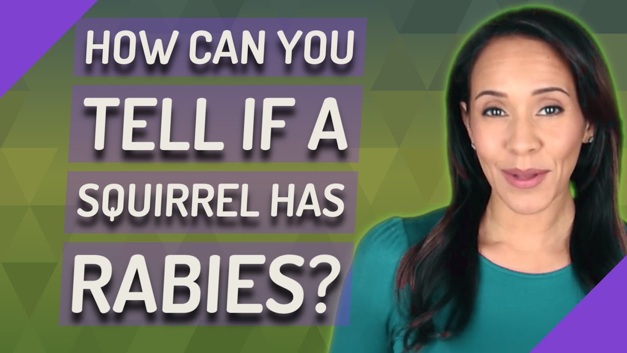 How Can You Tell If A Squirrel Has Rabies?