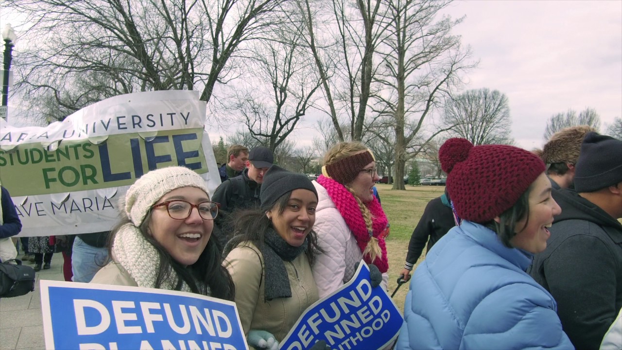 The March for Life (2017)