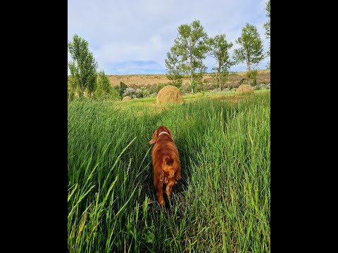 იუპიტერი-სატურნის ასპექტები ასტროლოგიაში