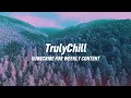 Xander Uncertainty Ft Tonion Chill Study Beats Lofi TrulyChill Chillhop mp3