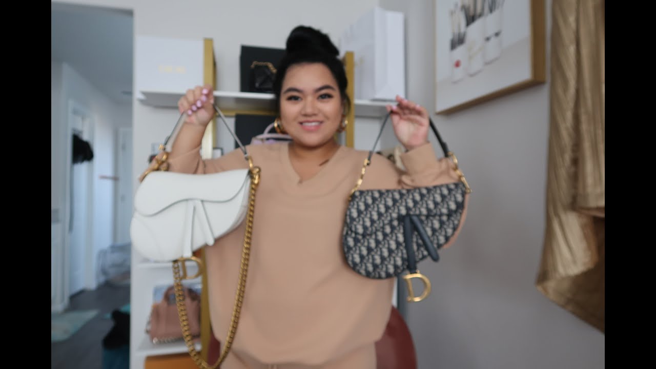 Unveiling My New Dior Oblique Embroidered Canvas Bag - PurseBlog