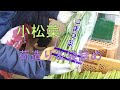 小松菜の荷造り＆袋詰め #33 2019/11/30