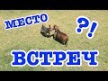 МЕСТО ВСТРЕЧ! ПАРК В АМЕРИКЕ. ЛАС ВЕГАС, США.