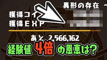 تحميل パズドラ 闘技場 経験値 Mp4 Mp3 تحميل パズドラ 闘技場 経験値 Mp4 Mp3