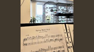 Little Bird Waltz / Spring Waltz / No.2